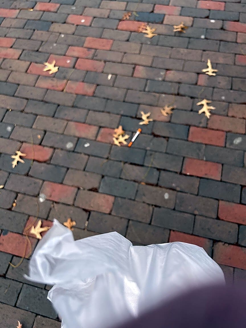 Image submitted with report