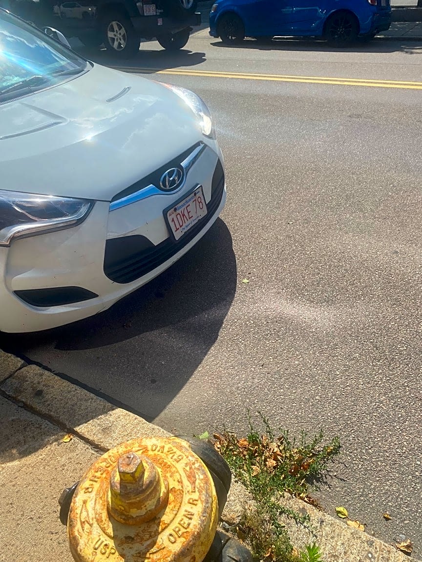 Image submitted with report