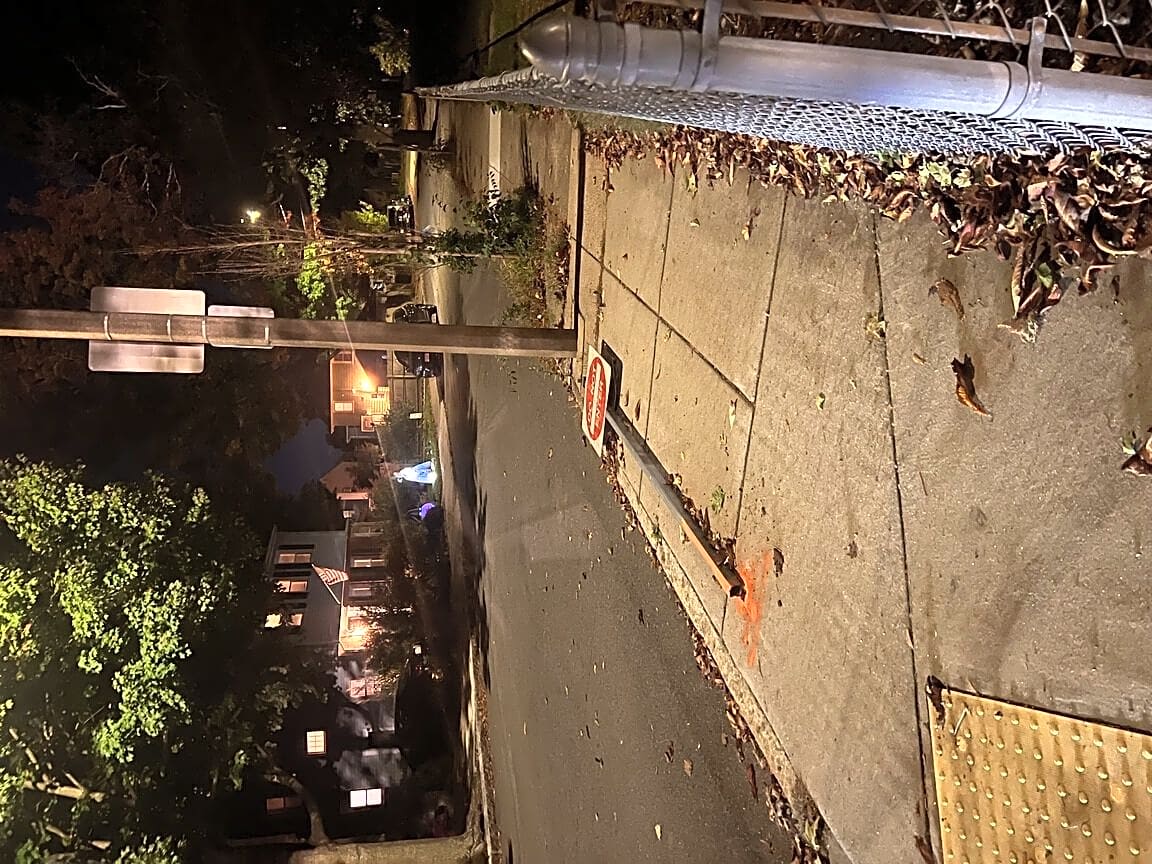 Image submitted with report