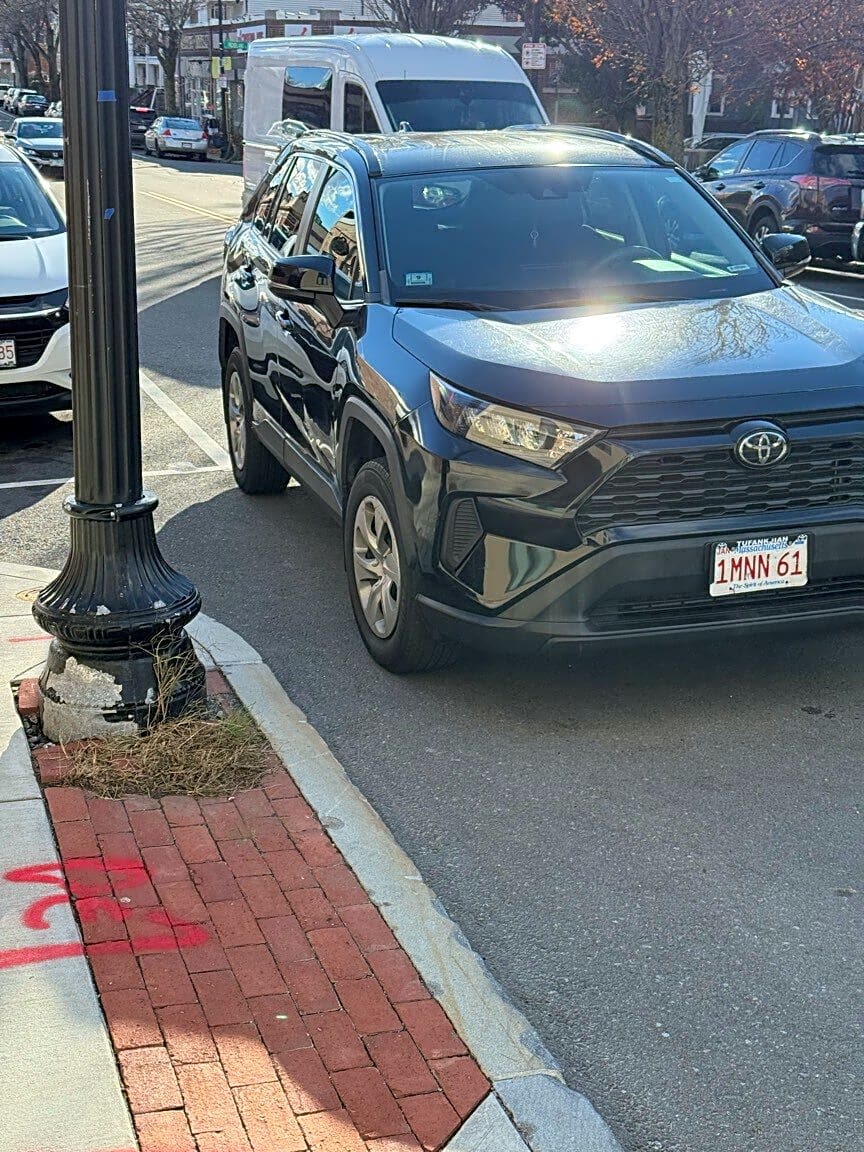 Image submitted with report