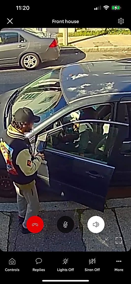 Image submitted with report