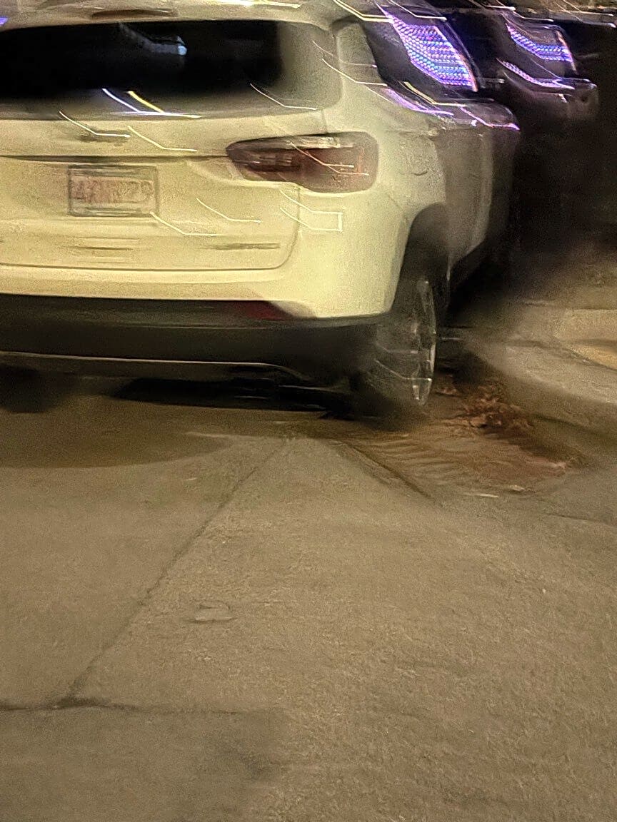 Image submitted with report