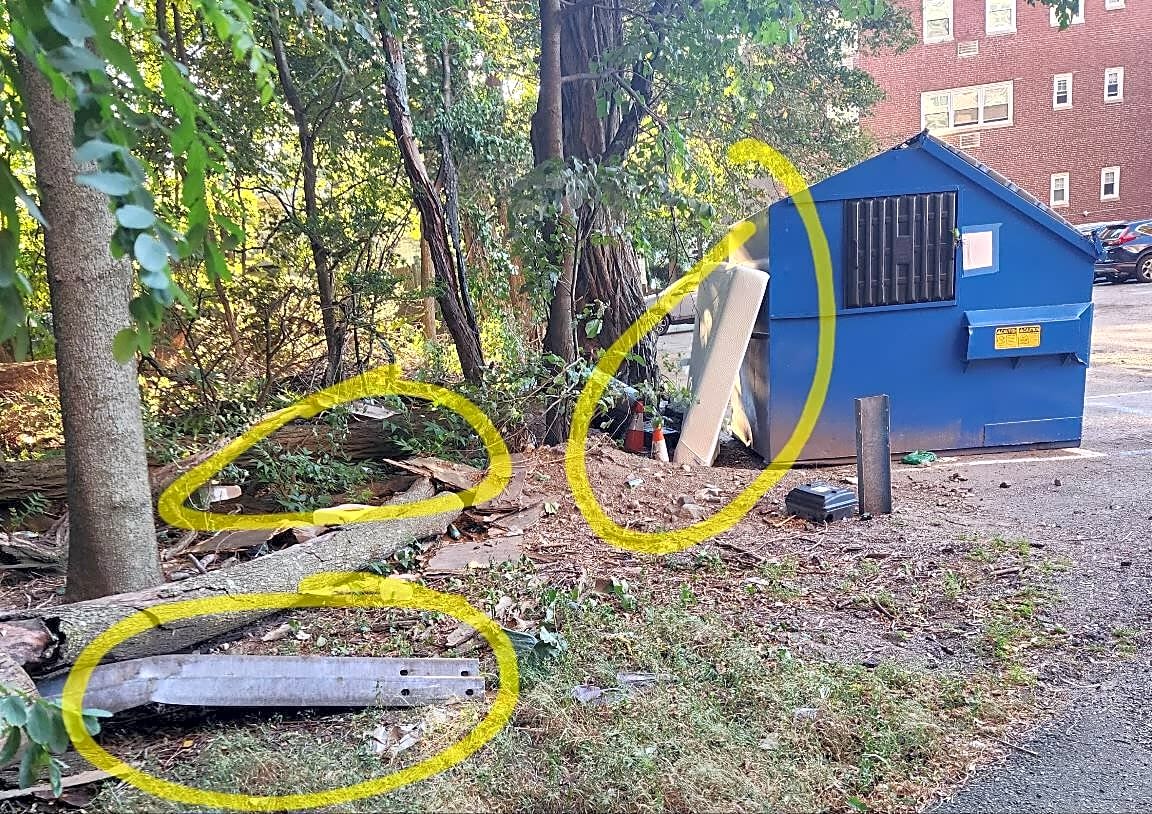 Image submitted with report