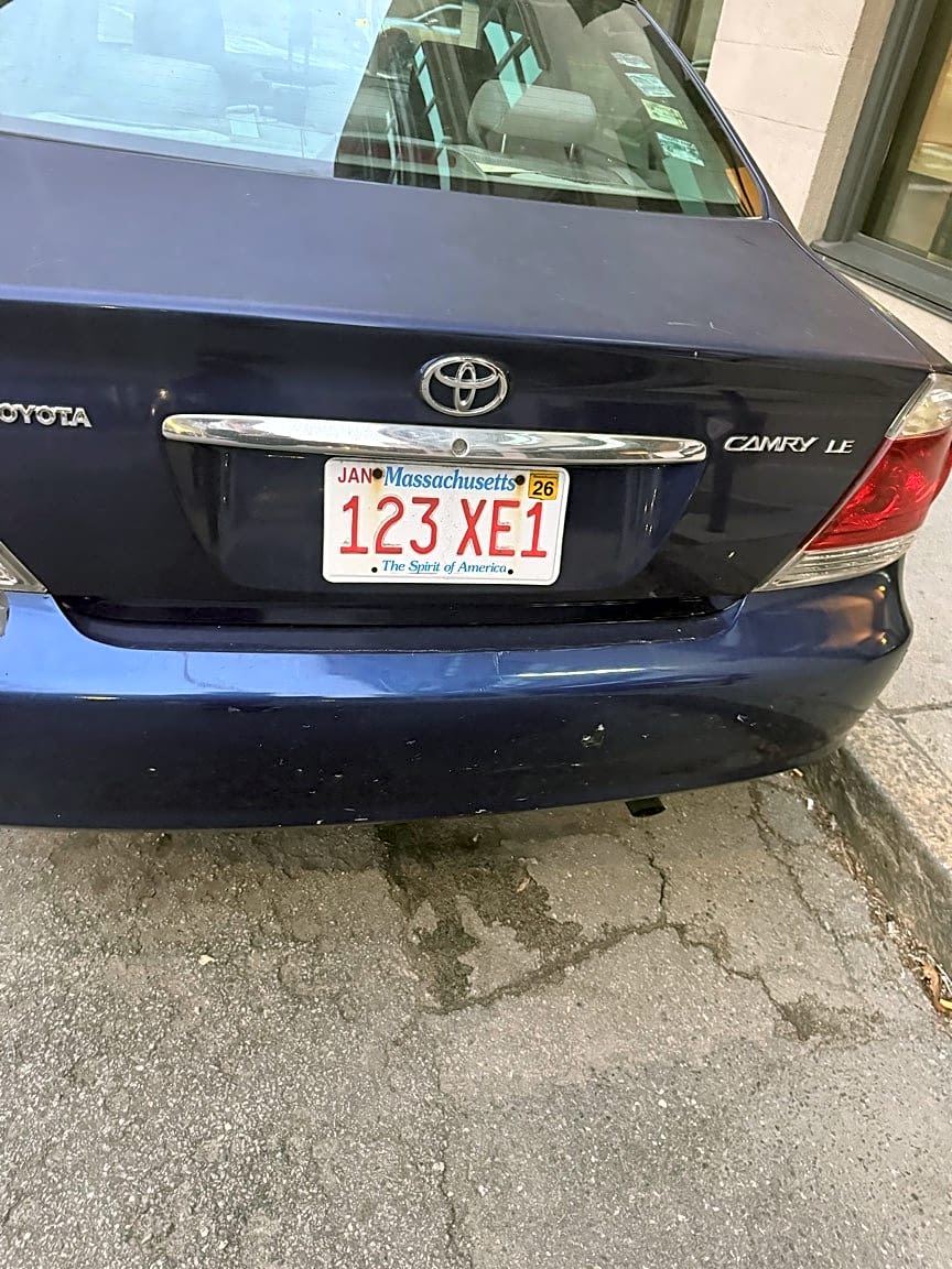 Image submitted with report