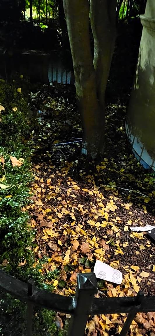 Image submitted with report