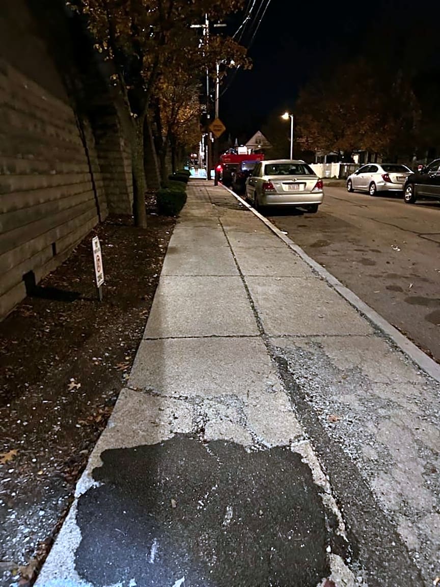 Image submitted with report