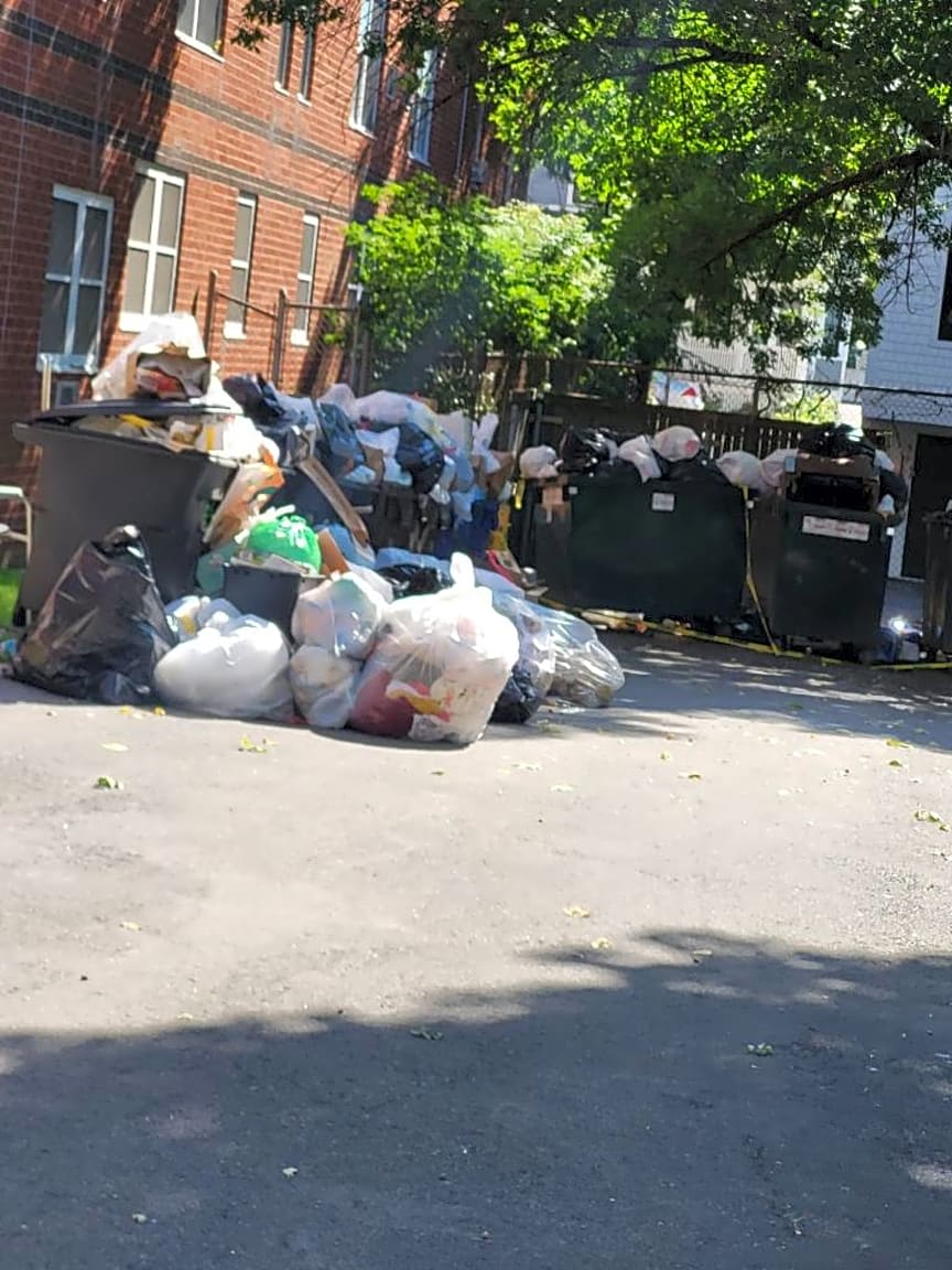 Image submitted with report