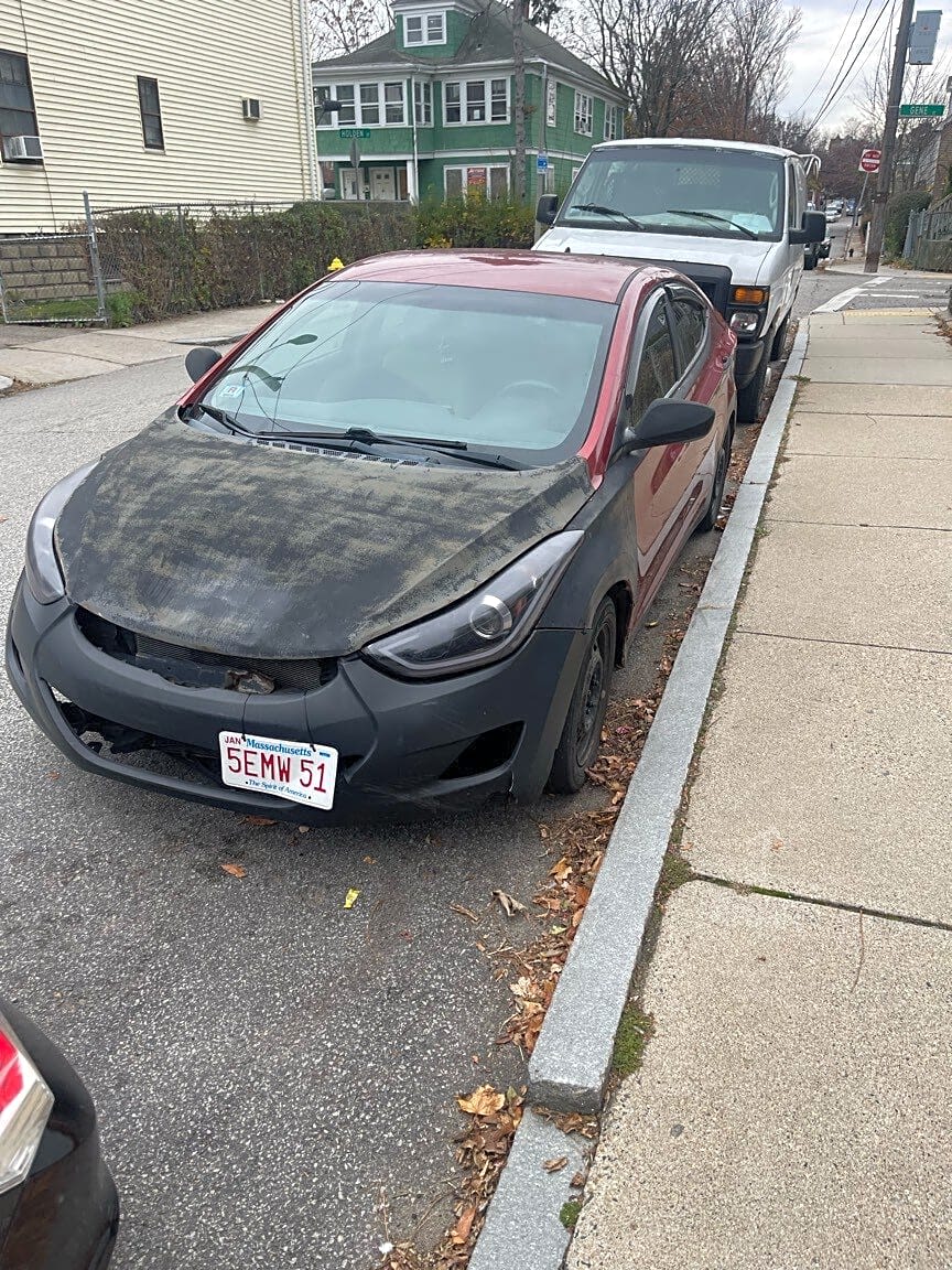 Image submitted with report