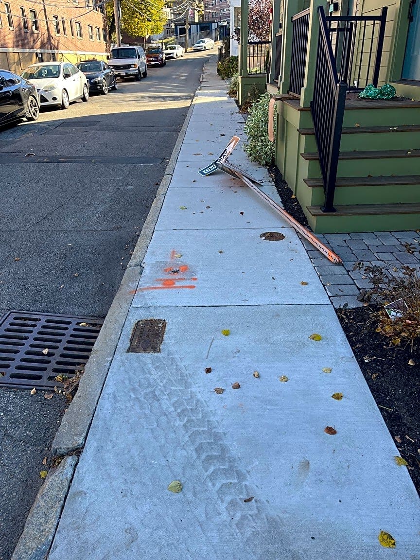 Image submitted with report