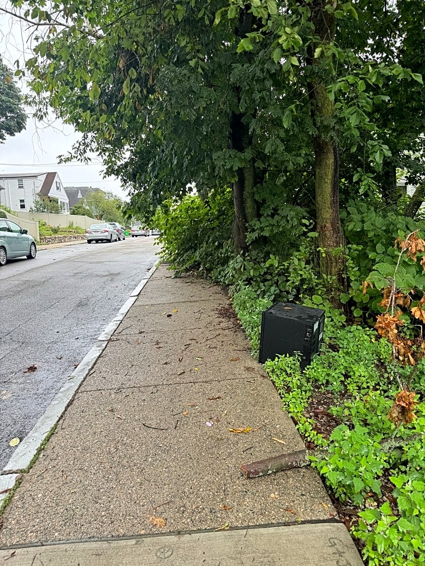Image submitted with report