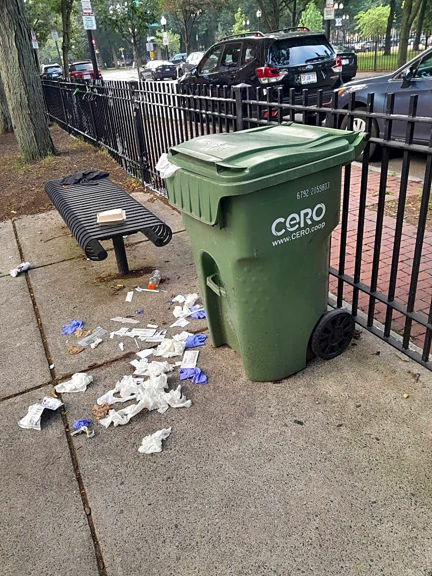 Image submitted with report