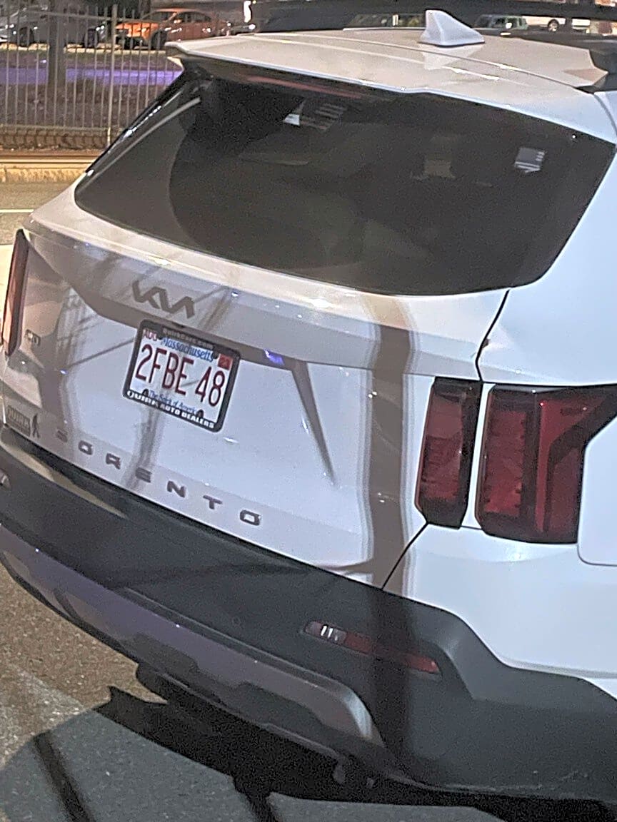 Image submitted with report