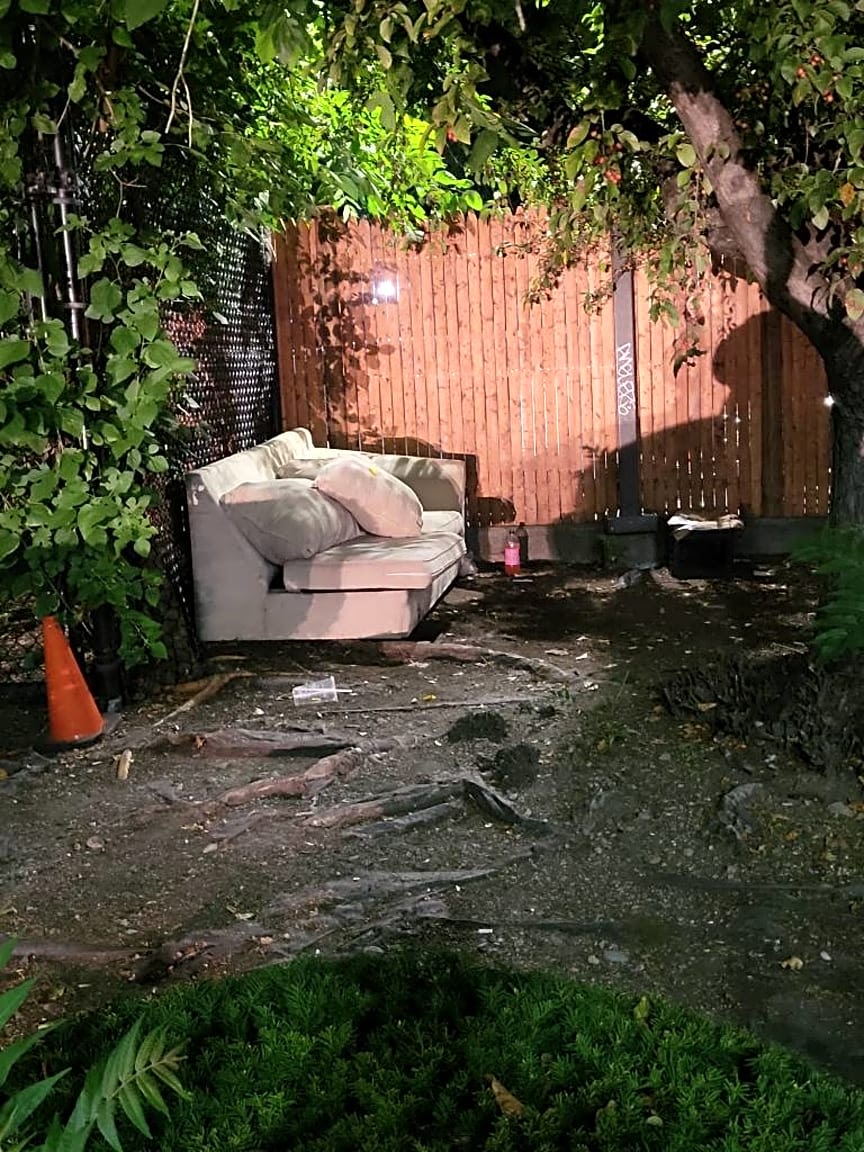 Image submitted with report