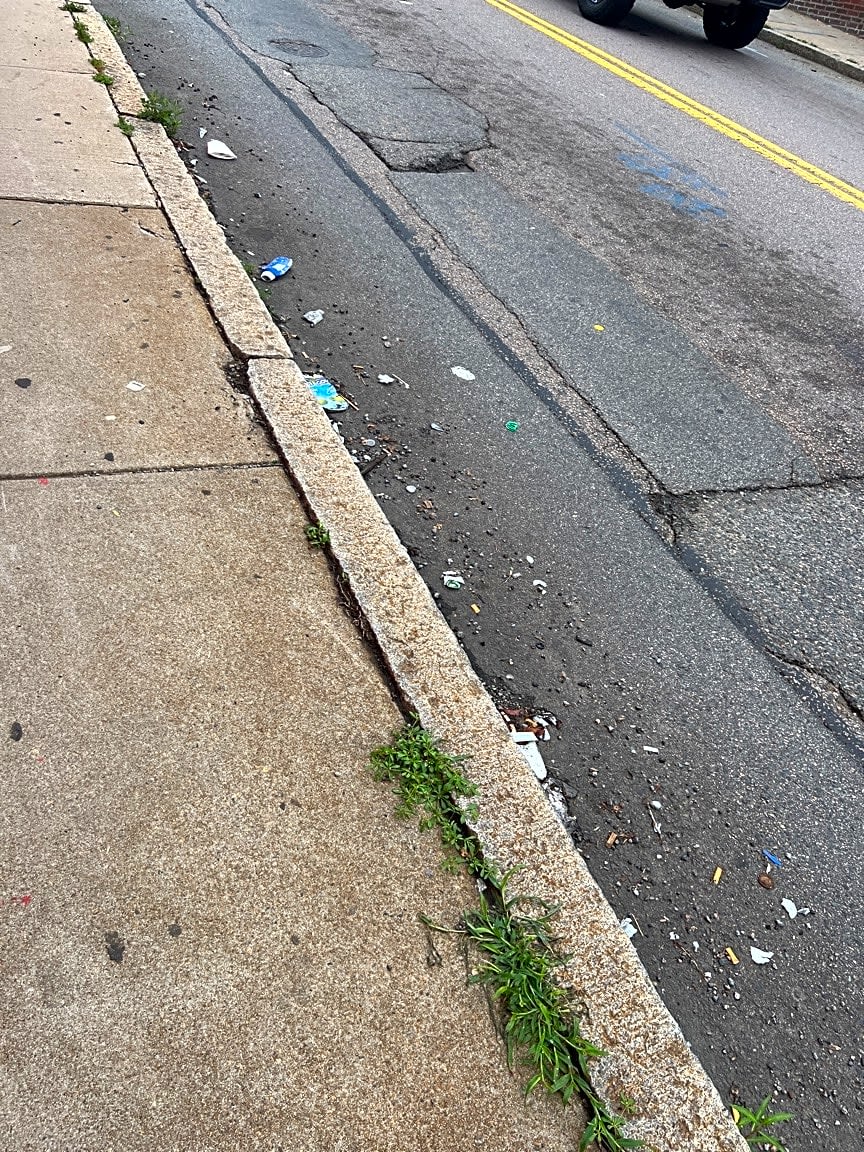 Image submitted with report
