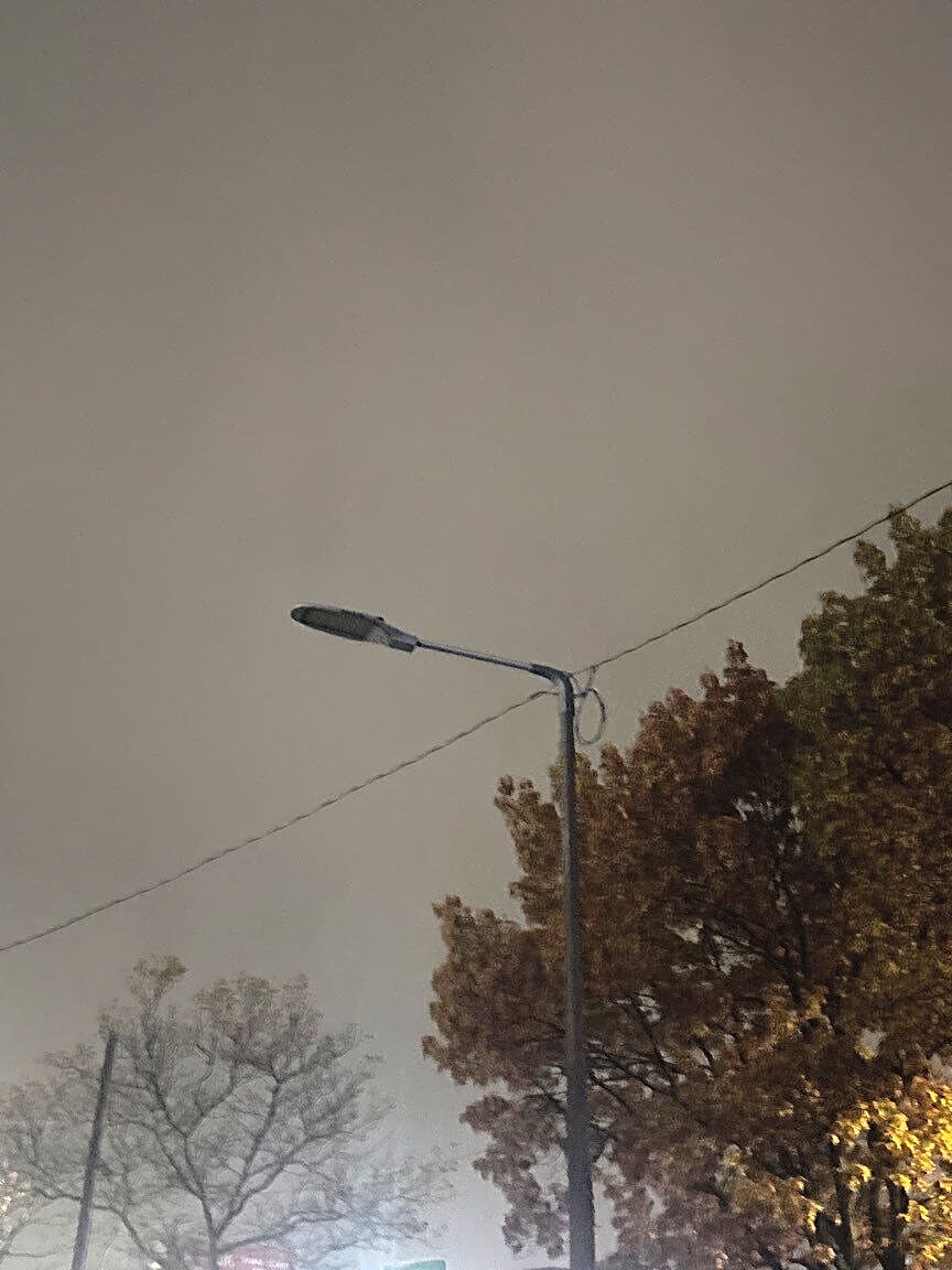 Image submitted with report