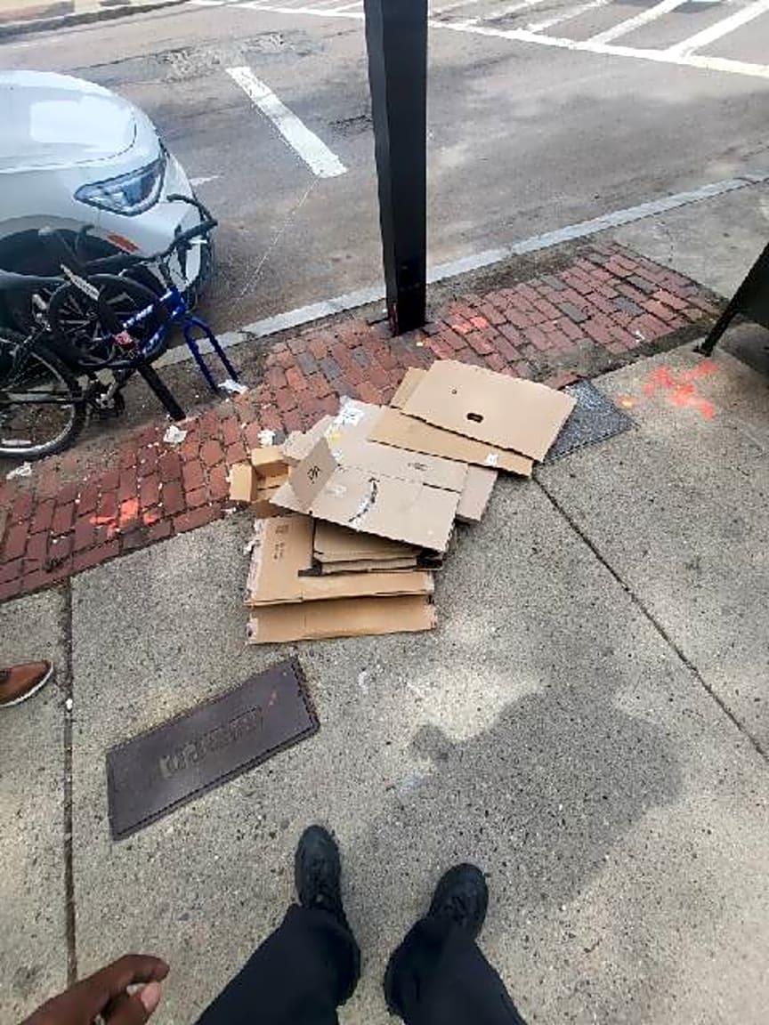 Image submitted with report