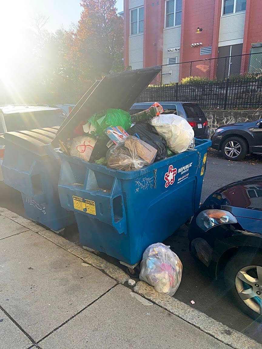 Image submitted with report