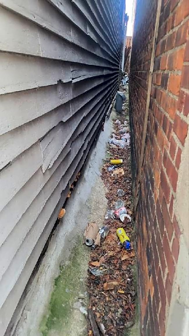 Image submitted with report