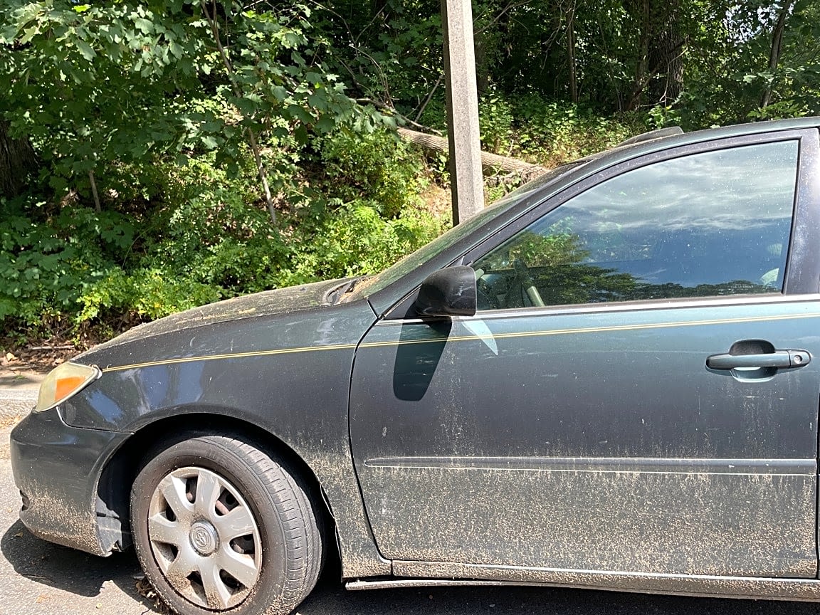 Image submitted with report