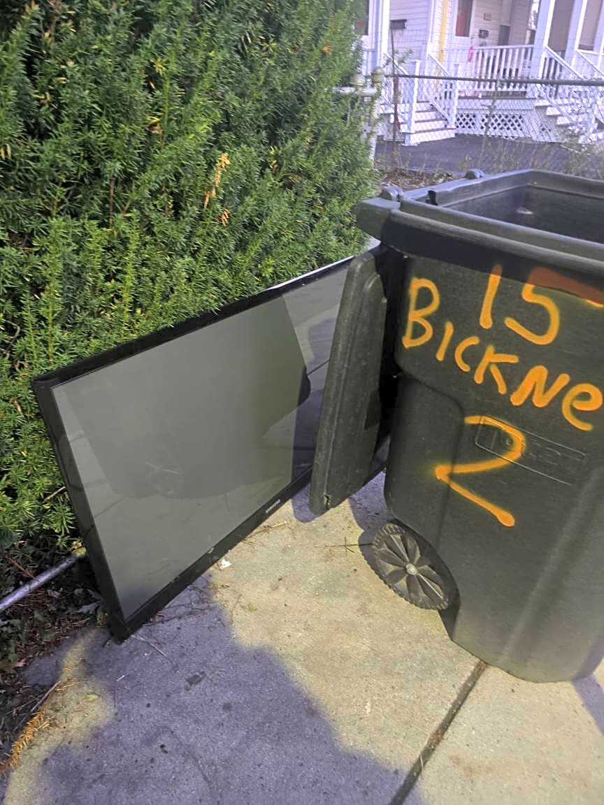 Image submitted with report