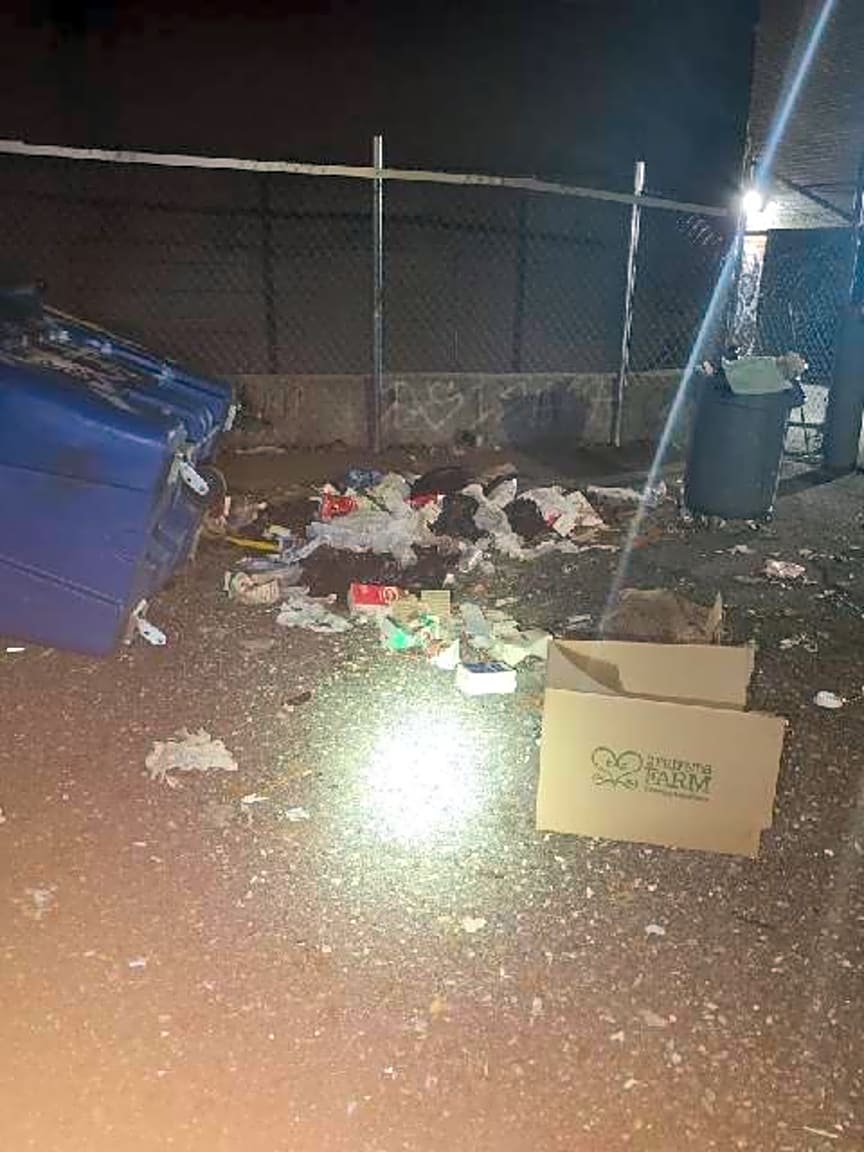 Image submitted with report