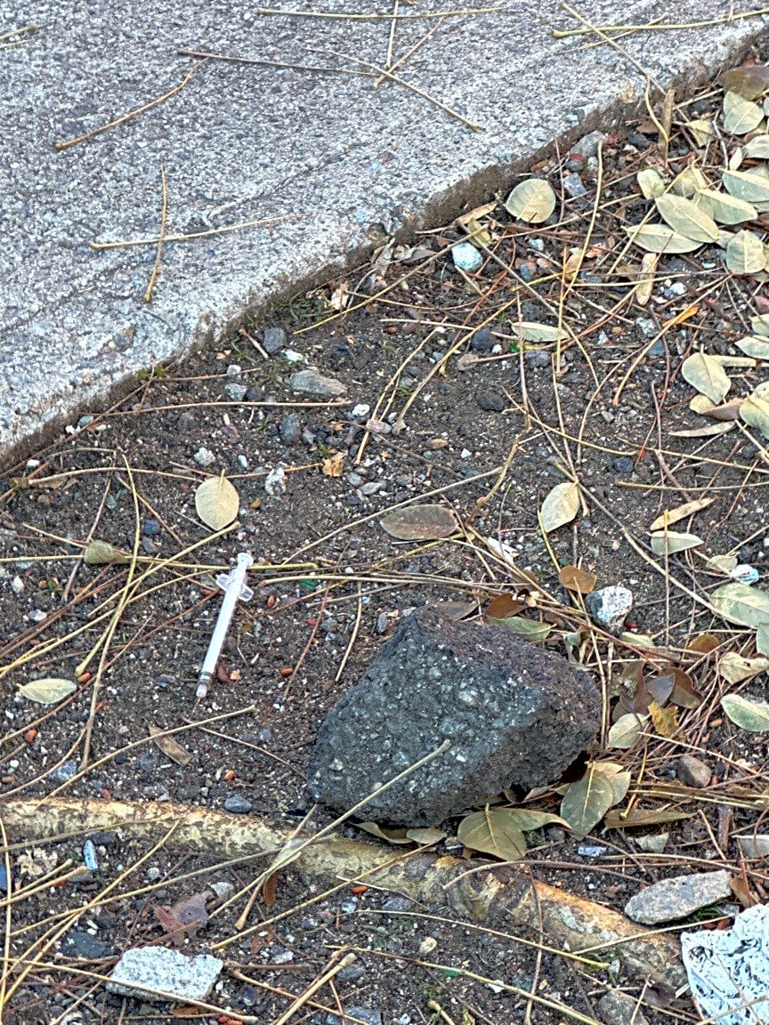 Image submitted with report