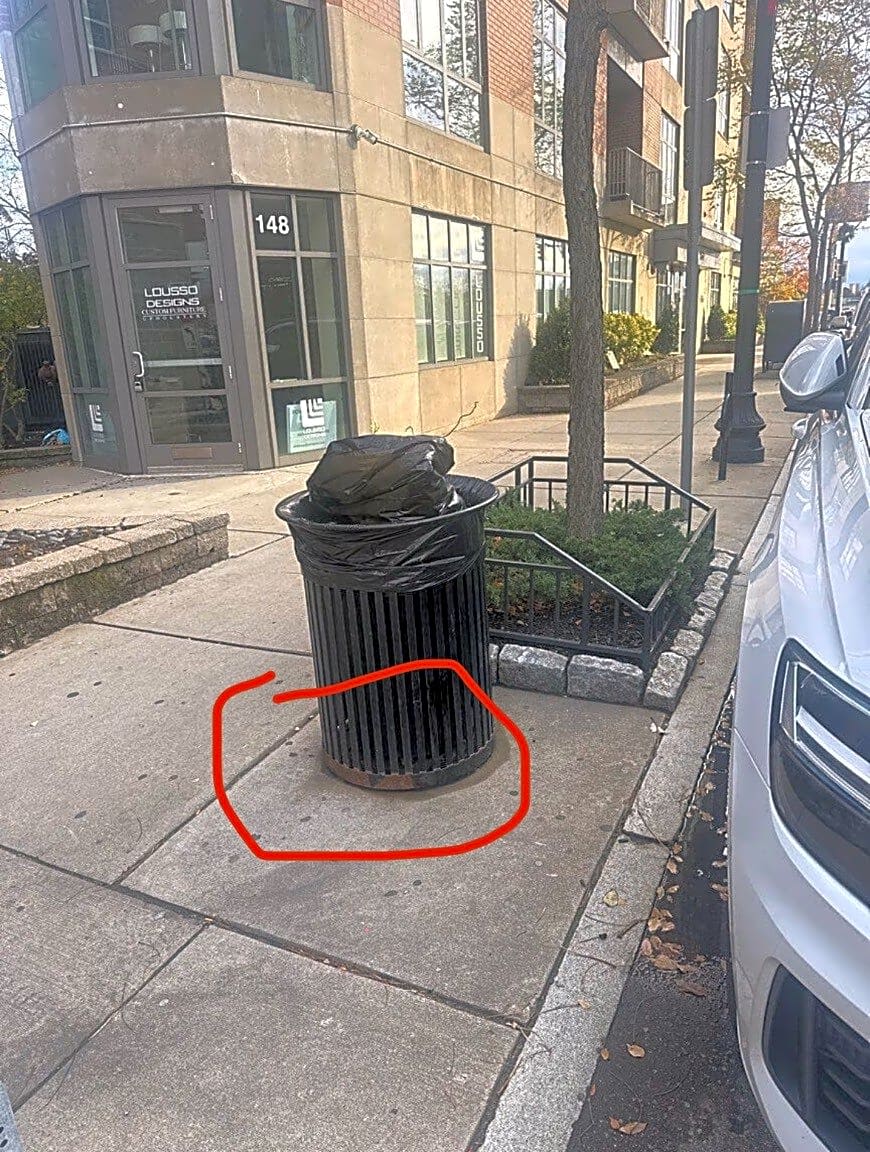 Image submitted with report