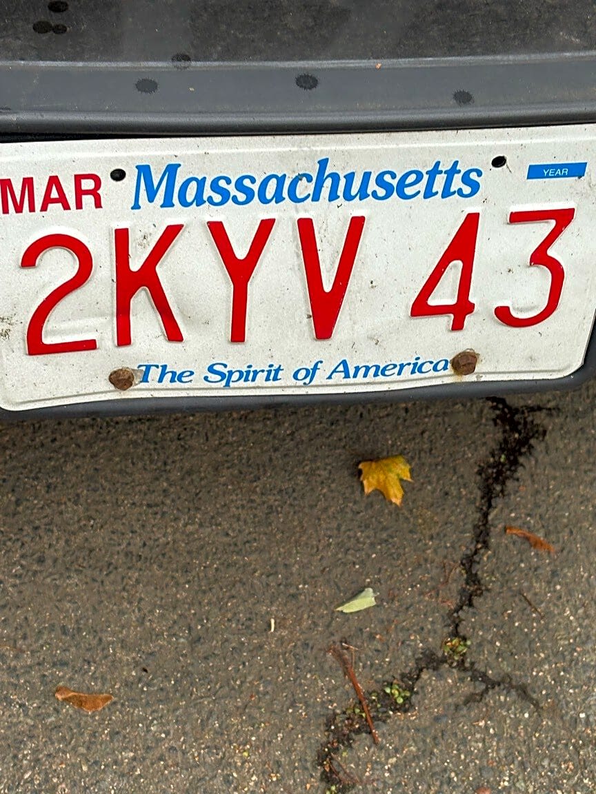 Image submitted with report