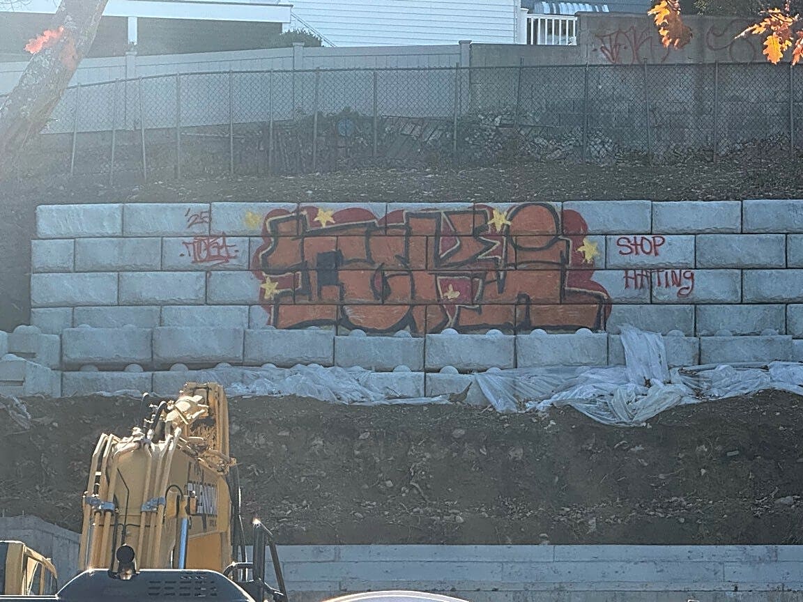 Image submitted with report