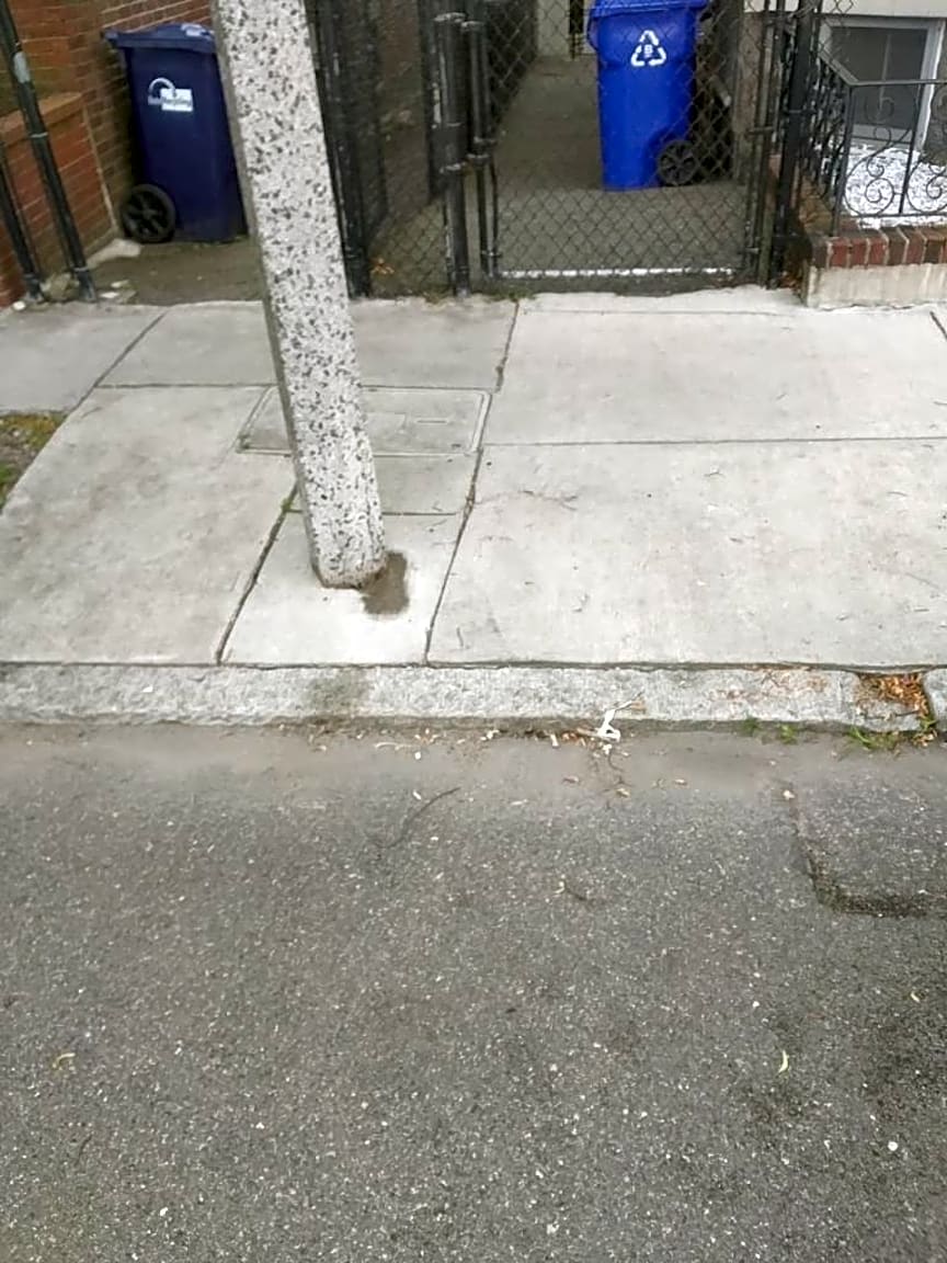 Image submitted with report