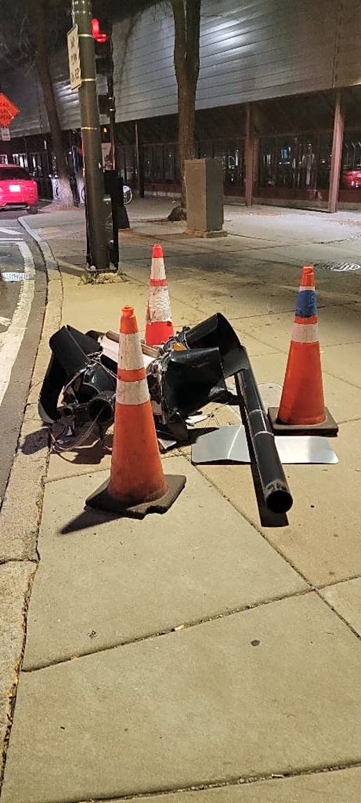 Image submitted with report