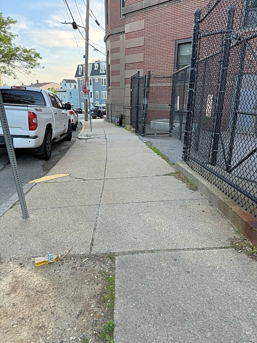Image submitted with report