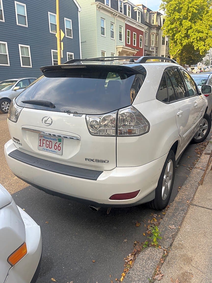 Image submitted with report