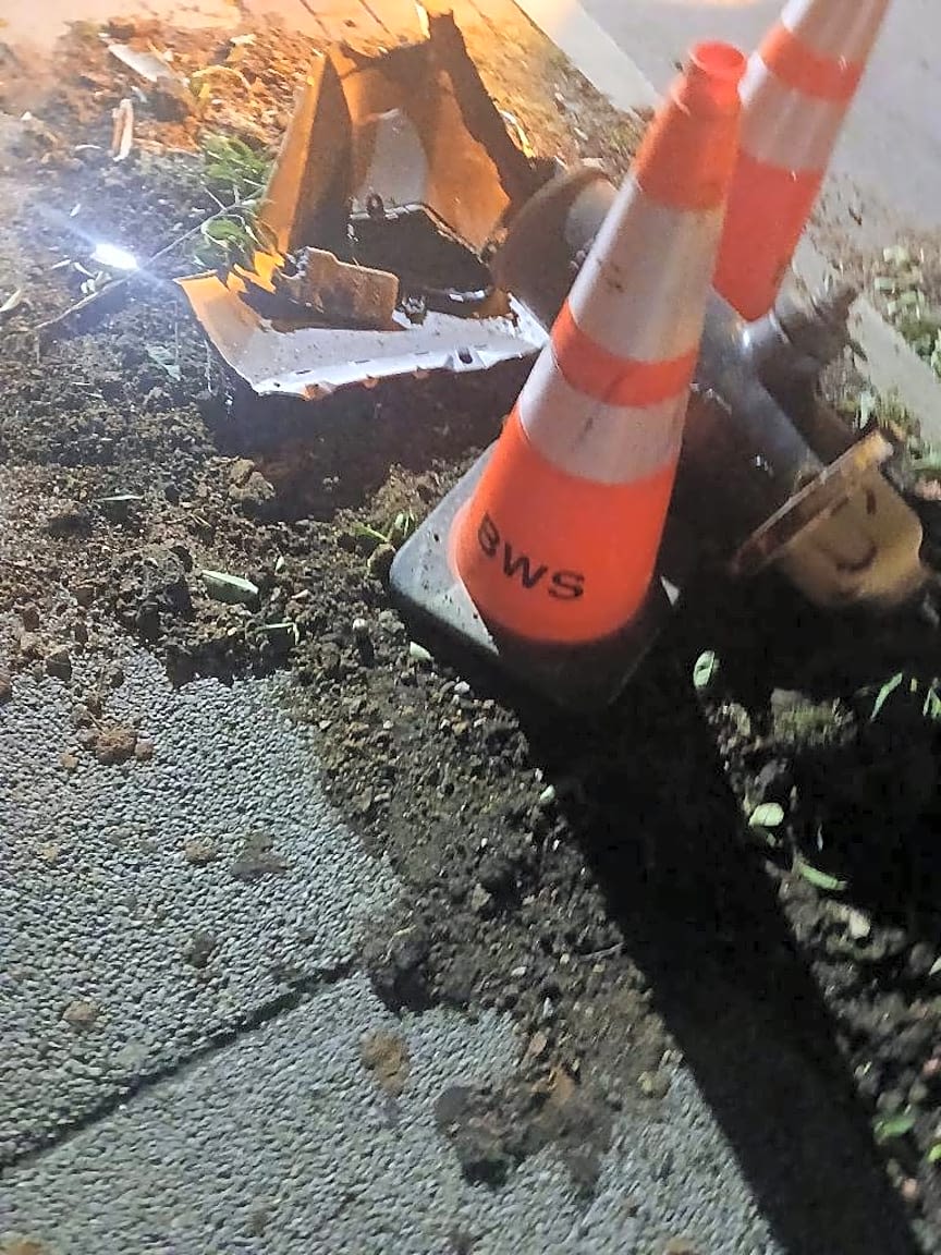 Image submitted with report