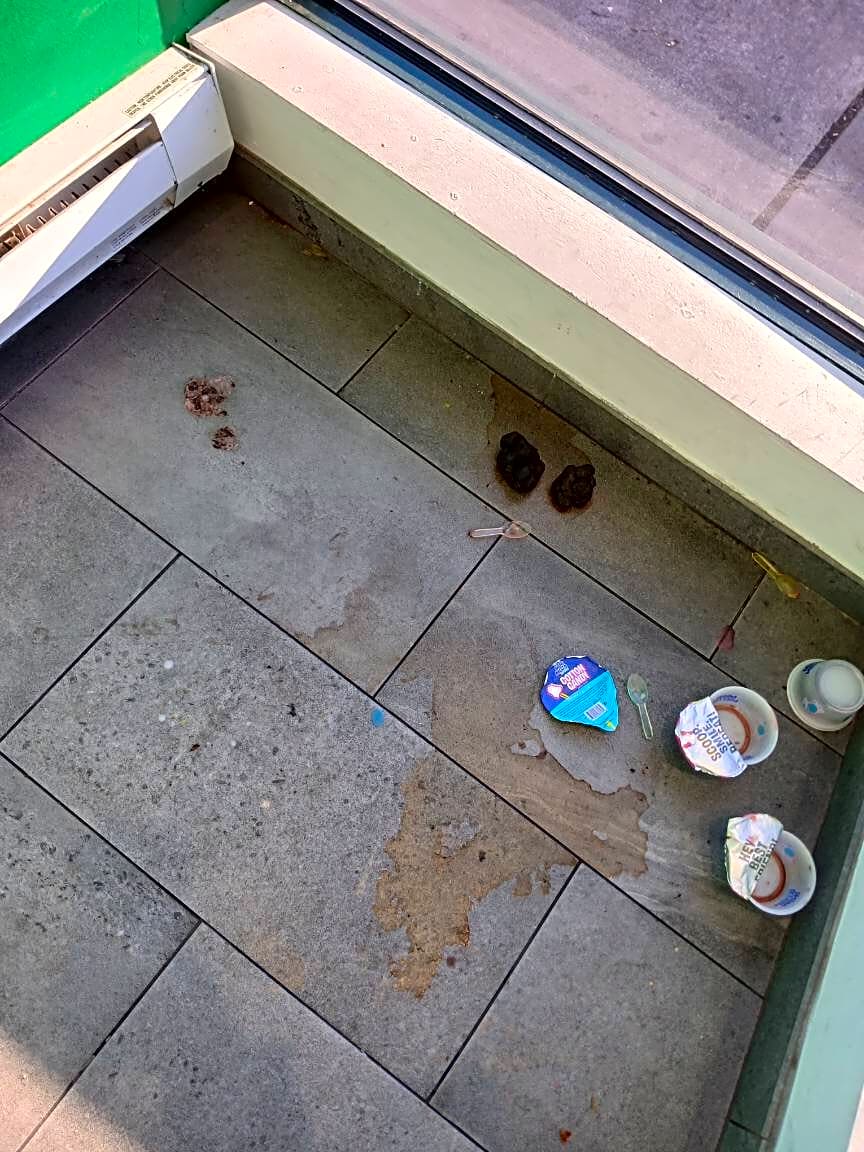 Image submitted with report