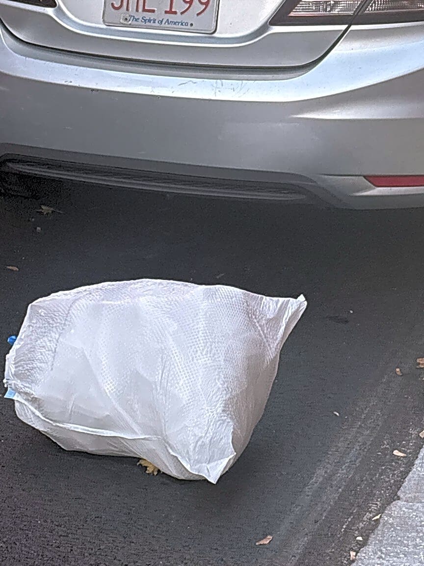 Image submitted with report