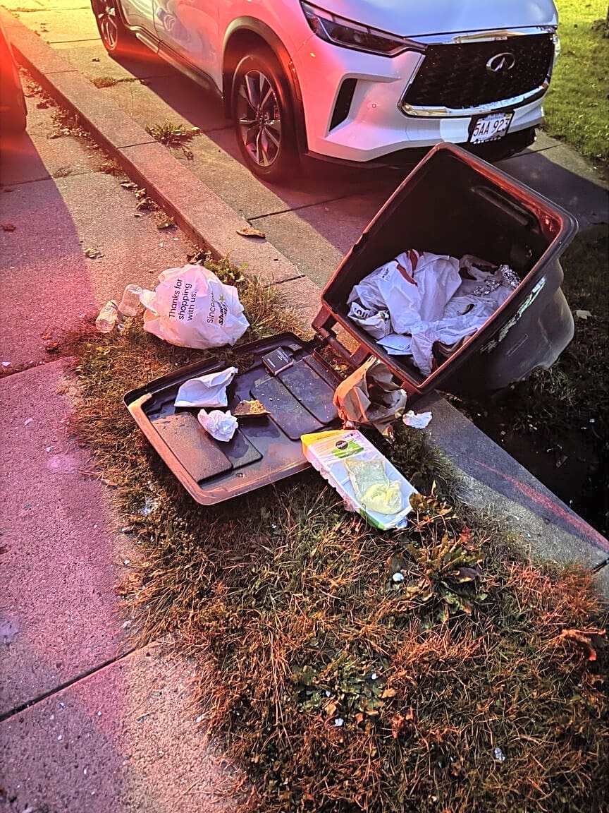 Image submitted with report