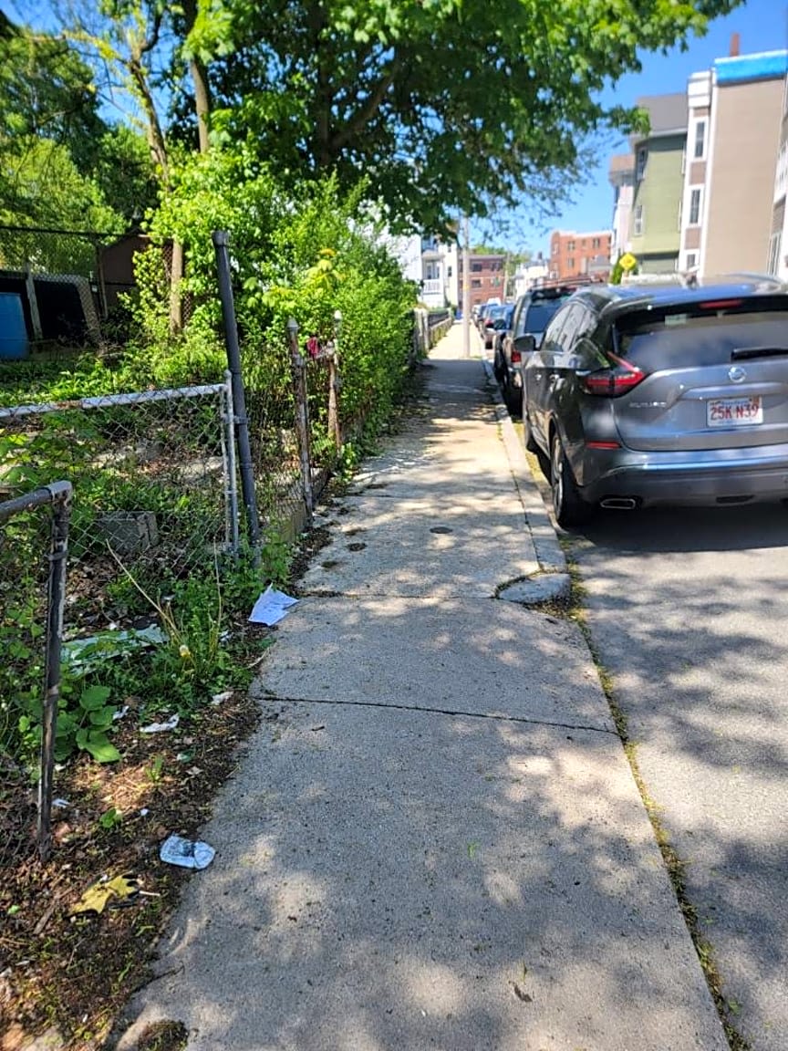 Image submitted with report