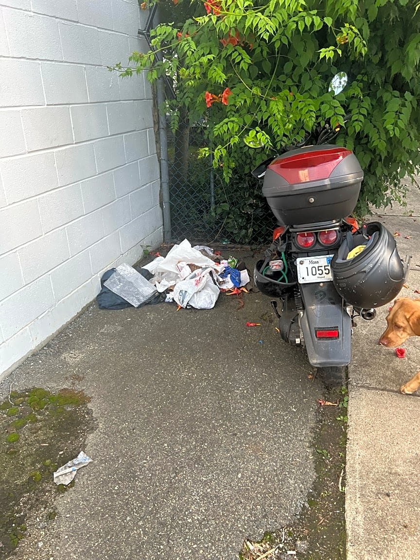 Image submitted with report