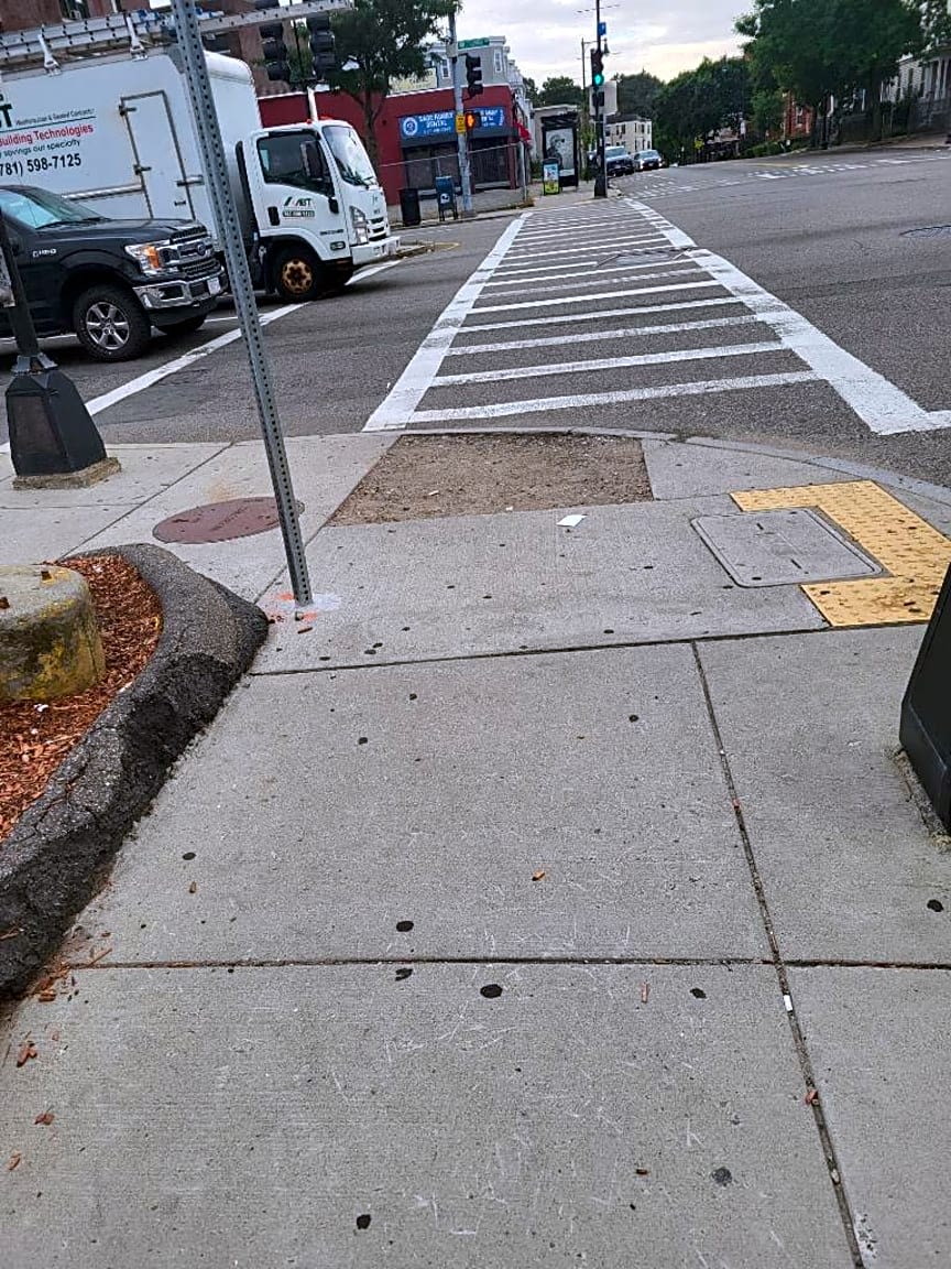 Image submitted with report