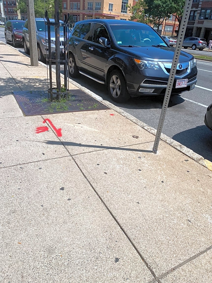Image submitted with report