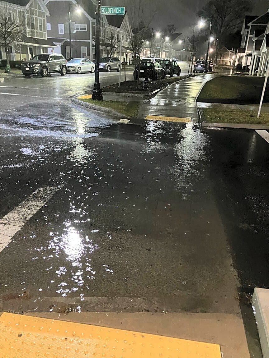 Image submitted with report