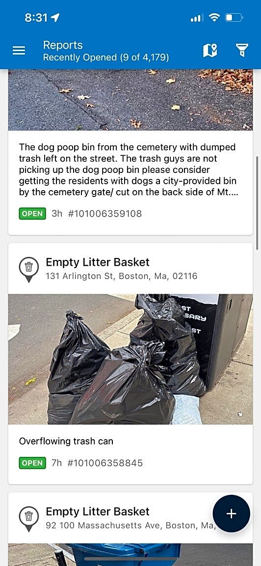 Image submitted with report