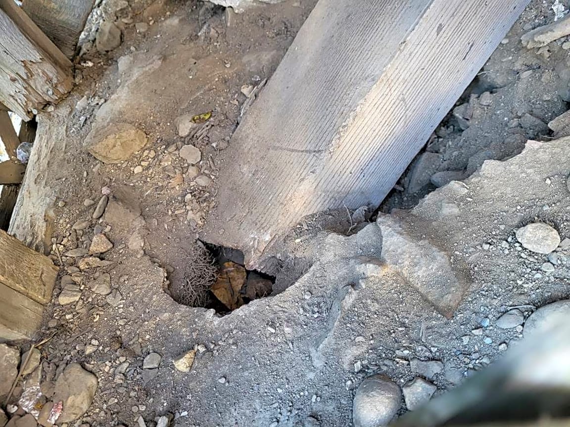 Image submitted with report