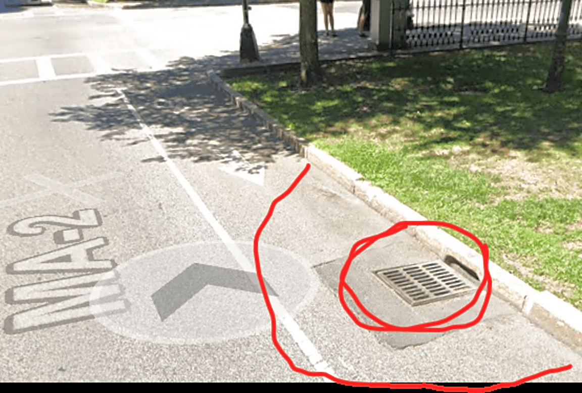 Image submitted with report