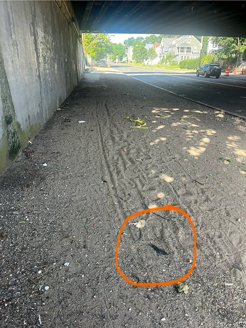 Image submitted with report