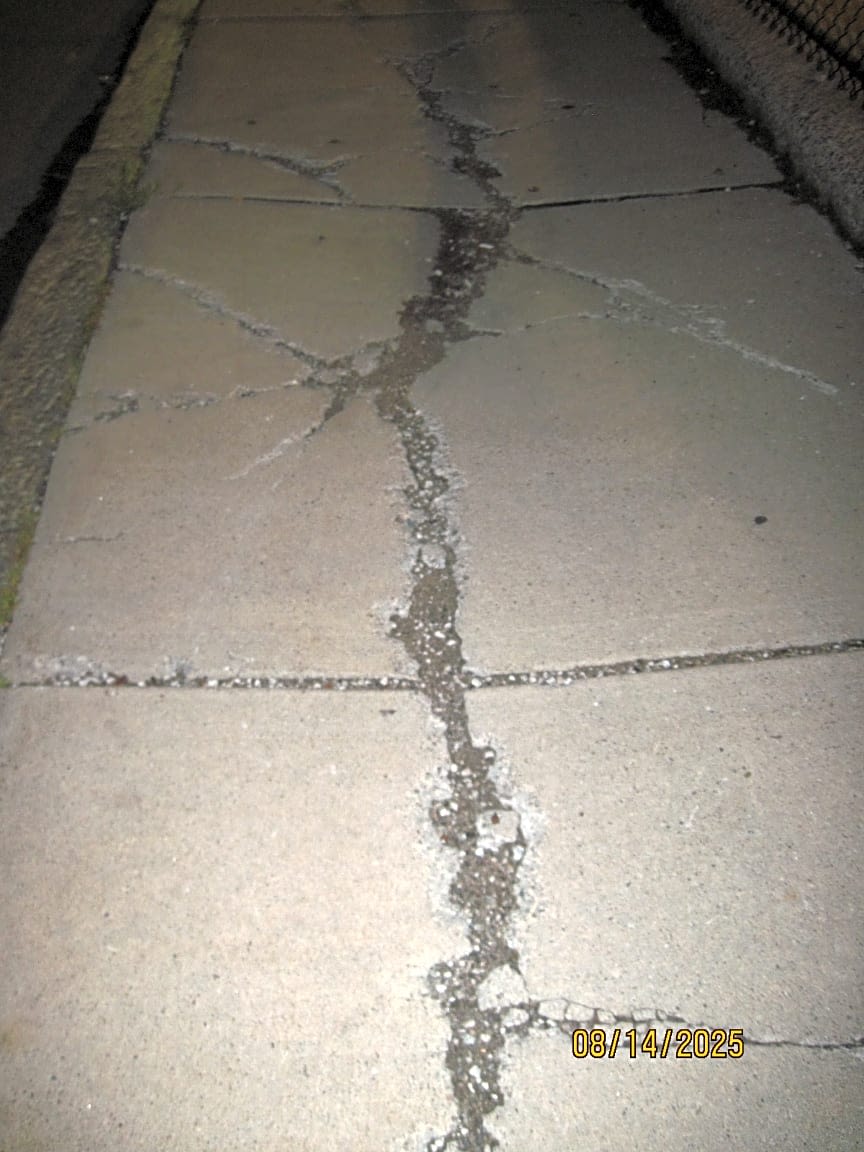 Image submitted with report