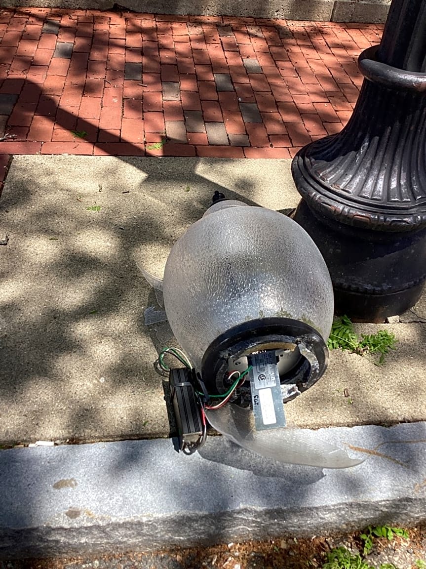 Image submitted with report