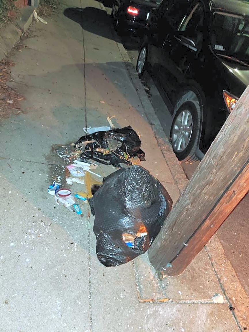 Image submitted with report