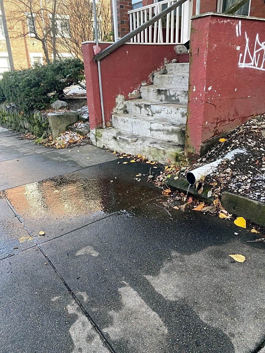 Image submitted with report